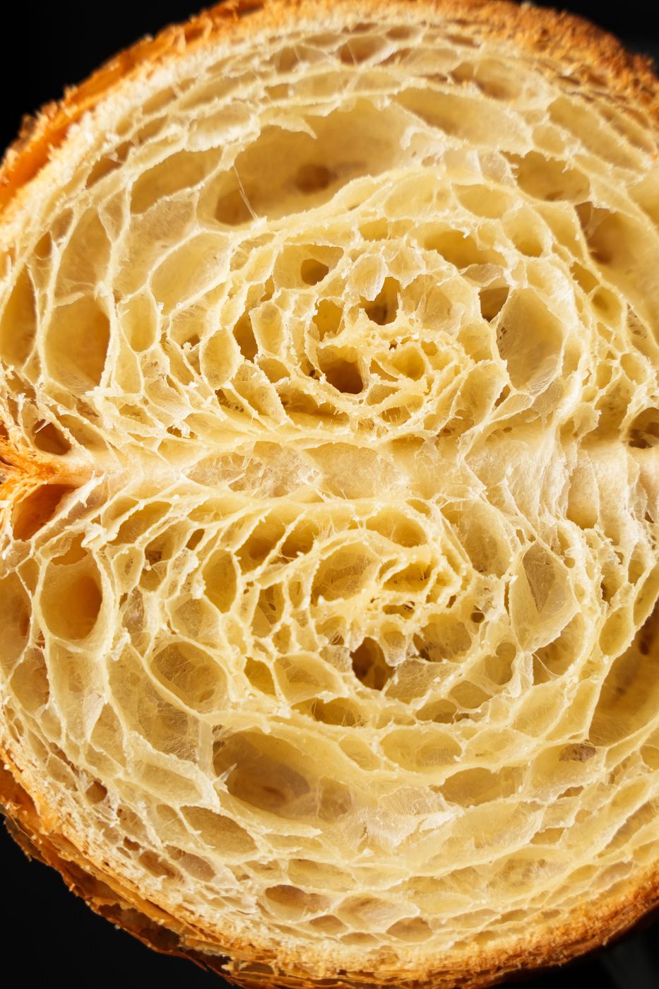 Knead Bakery